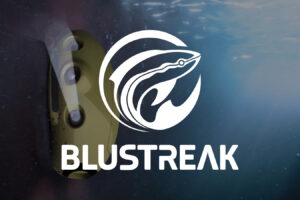 Blustreak Logo