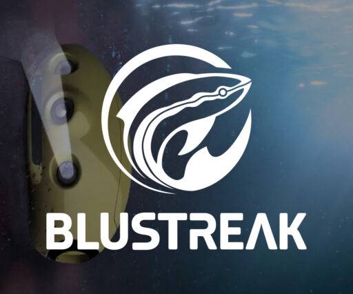 Blustreak Logo